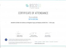 BSCOSO Certificate of Attendance