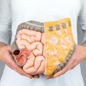 Секреты здоровья кишечника: как поддерживать колопроктологическое благополучие в повседневной жизни