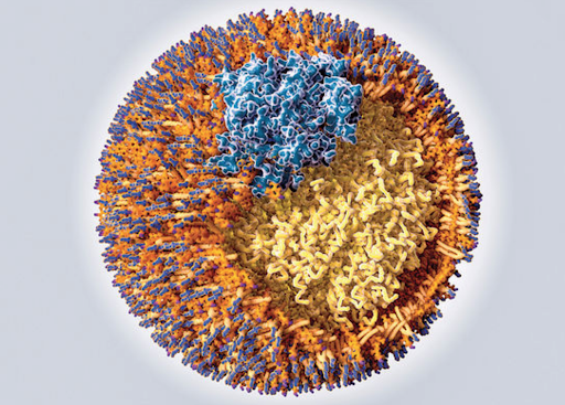 Липопротеин(а) и ApoB: важнее «общего холестерина» Липопротеин(а) и ApoB: важнее «общего холестерина»