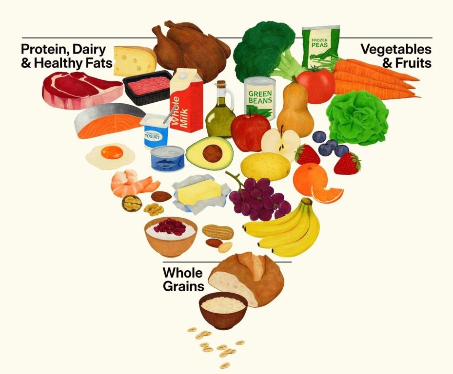 Про новую пирамиду питания