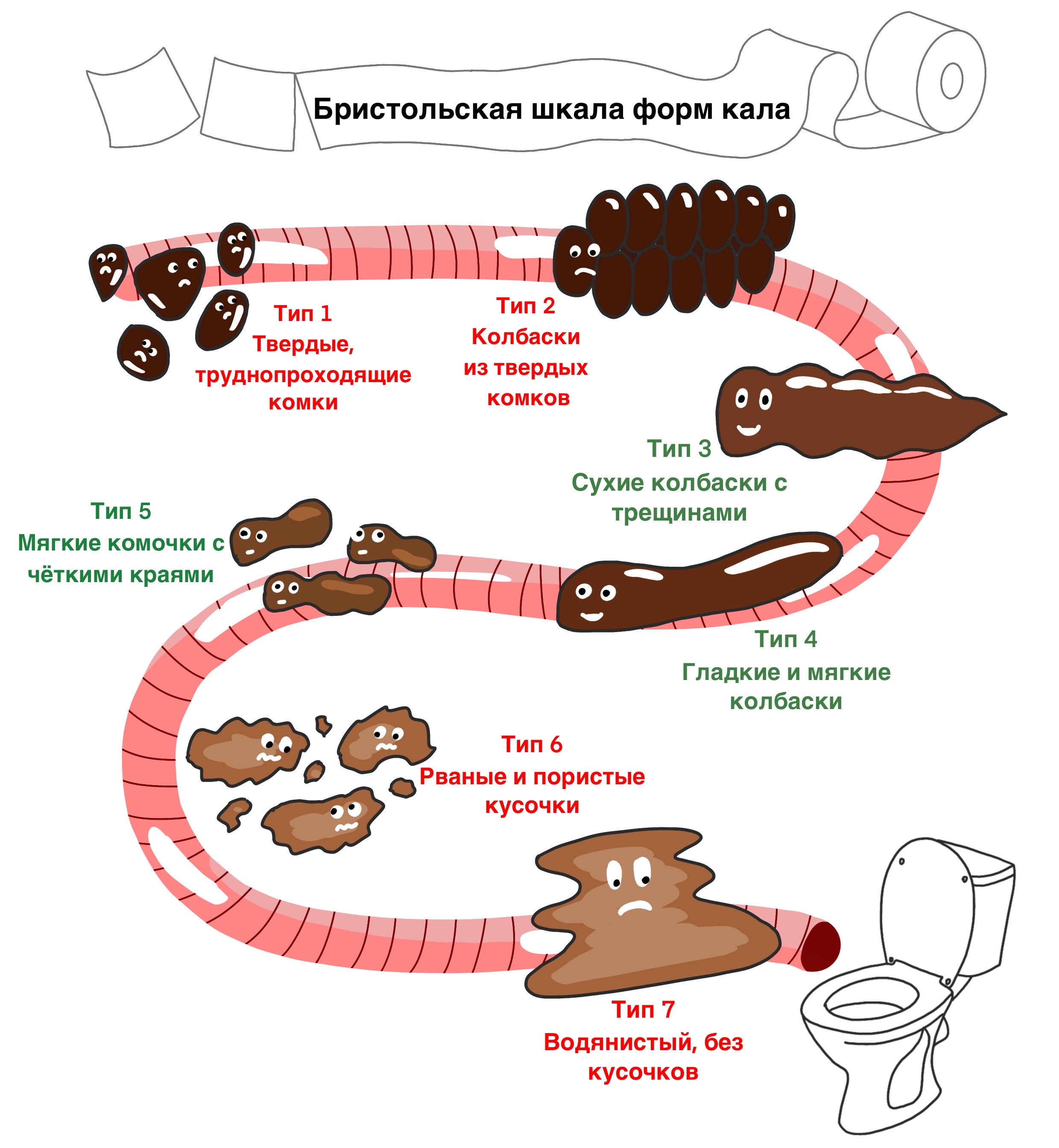 Запоры у беременных / Блог / Клиника ЭКСПЕРТ