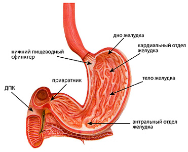 hronicheskiy gastrit